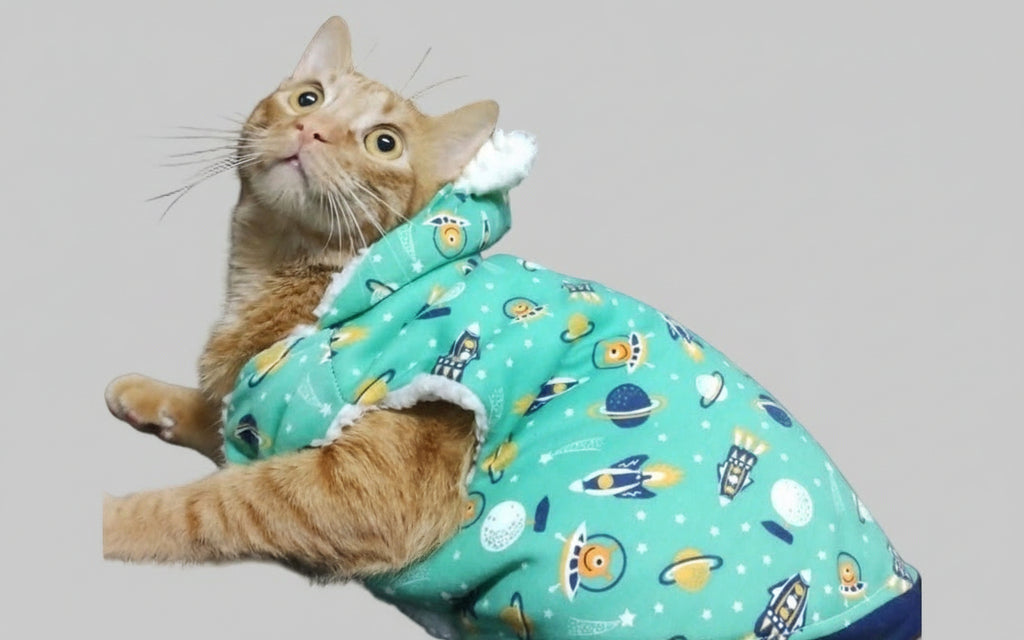 🐑 Chaqueta Ovejera 🌟