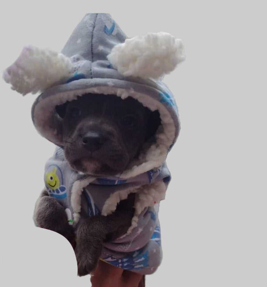 🐑 Chaqueta Ovejera 🌟